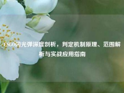 CSGO闪光弹深度剖析，判定机制原理、范围解析与实战应用指南
