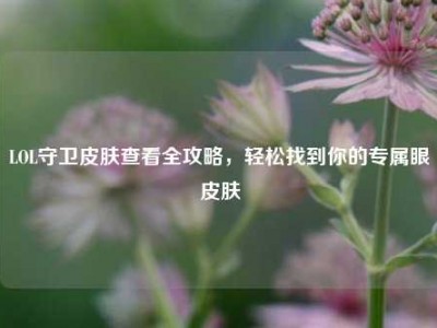 LOL守卫皮肤查看全攻略，轻松找到你的专属眼皮肤