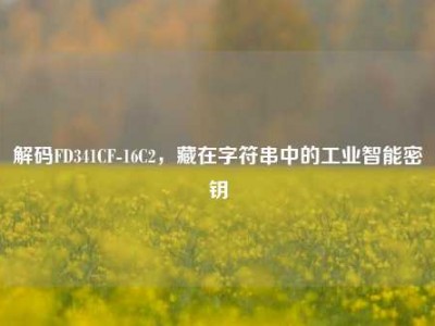 解码FD341CF-16C2，藏在字符串中的工业智能密钥