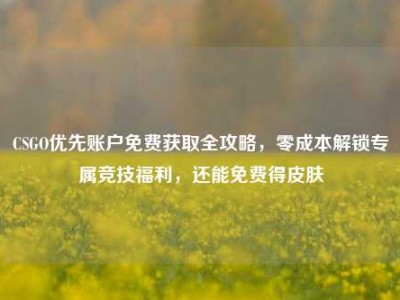 CSGO优先账户免费获取全攻略，零成本解锁专属竞技福利，还能免费得皮肤