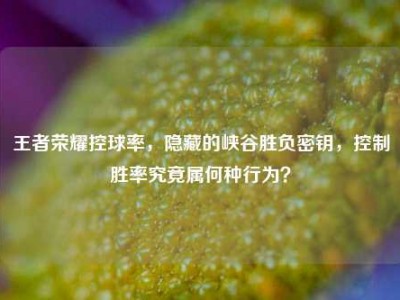 王者荣耀控球率，隐藏的峡谷胜负密钥，控制胜率究竟属何种行为？