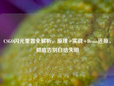 CSGO闪光重置全解析，原理+实战+Demo还原，彻底告别白给失明