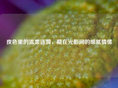 夜色里的温柔涟漪，藏在光影间的细腻情愫