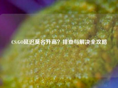 CS:GO延迟莫名升高？排查与解决全攻略