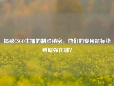揭秘CSGO主播的制胜秘密，他们的专用鼠标垫到底强在哪？