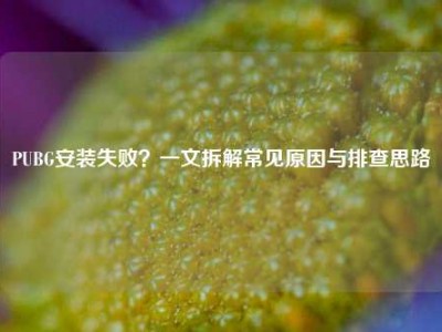 PUBG安装失败？一文拆解常见原因与排查思路
