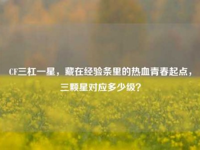 CF三杠一星，藏在经验条里的热血青春起点，三颗星对应多少级？