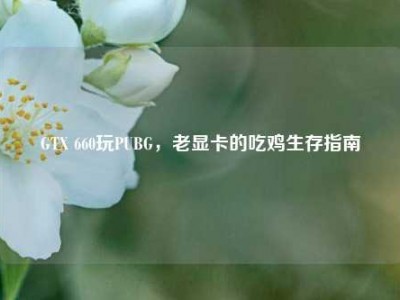 GTX 660玩PUBG，老显卡的吃鸡生存指南
