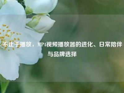 不止于播放，MP4视频播放器的进化、日常陪伴与品牌选择