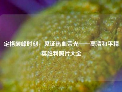 定格巅峰时刻，见证热血荣光——高清和平精英胜利照片大全