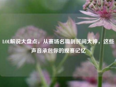 LOL解说大盘点，从赛场名嘴到民间大神，这些声音承包你的观赛记忆