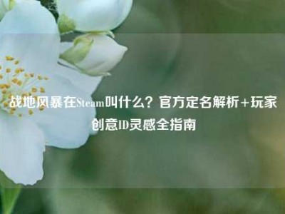 战地风暴在Steam叫什么？官方定名解析+玩家创意ID灵感全指南