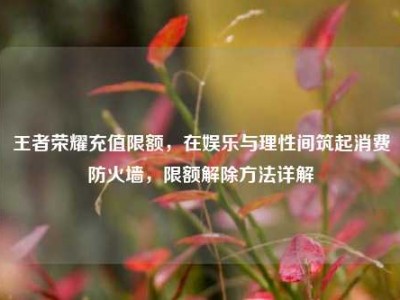 王者荣耀充值限额，在娱乐与理性间筑起消费防火墙，限额解除方法详解