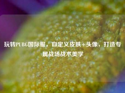 玩转PUBG国际服，自定义皮肤+头像，打造专属战场战术美学