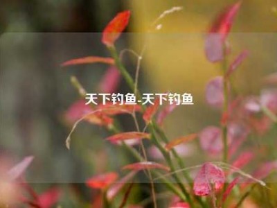 天下钓鱼-天下钓鱼
