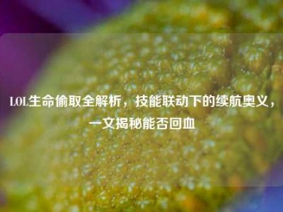 LOL生命偷取全解析，技能联动下的续航奥义，一文揭秘能否回血