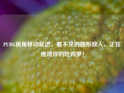 PUBG视角移动延迟，看不见的隐形敌人，正在拖垮你的吃鸡梦！