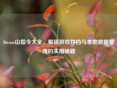Steam山指令大全，解锁游戏存档与本地数据管理的实用秘籍