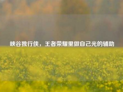 峡谷独行侠，王者荣耀里做自己光的辅助