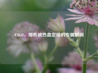 CSGO，那些被热血定格的专属瞬间