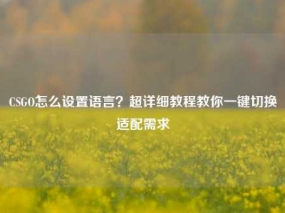 CSGO怎么设置语言？超详细教程教你一键切换适配需求