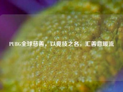 PUBG全球慈善，以竞技之名，汇善意暖流