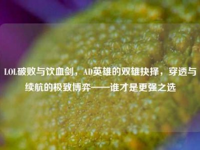 LOL破败与饮血剑，AD英雄的双雄抉择，穿透与续航的极致博弈——谁才是更强之选