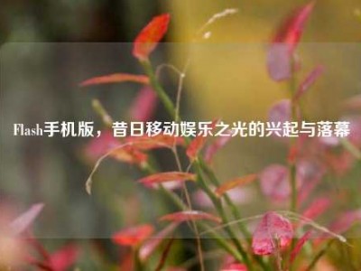Flash手机版，昔日移动娱乐之光的兴起与落幕