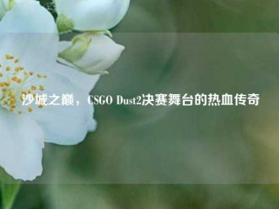 沙城之巅，CSGO Dust2决赛舞台的热血传奇