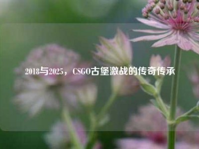 2018与2025，CSGO古堡激战的传奇传承