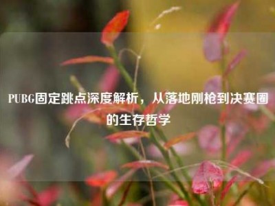 PUBG固定跳点深度解析，从落地刚枪到决赛圈的生存哲学