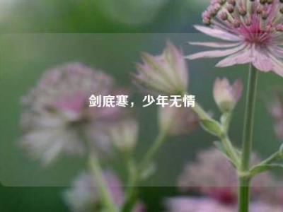 剑底寒，少年无情