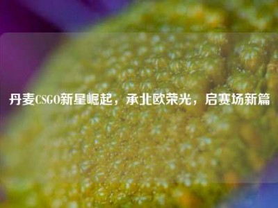 丹麦CSGO新星崛起，承北欧荣光，启赛场新篇
