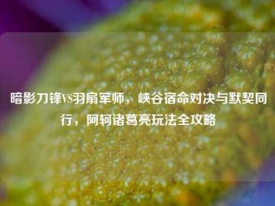 暗影刀锋VS羽扇军师，峡谷宿命对决与默契同行，阿轲诸葛亮玩法全攻略