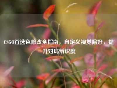 CSGO首选色修改全指南，自定义视觉偏好，提升对局辨识度