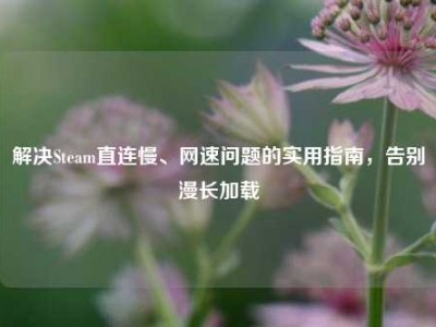 解决Steam直连慢、网速问题的实用指南，告别漫长加载