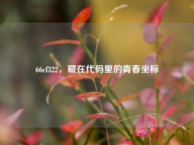 66cf322，藏在代码里的青春坐标