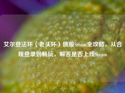 艾尔登法环（老头环）俄服Steam全攻略，从合规登录到畅玩，解答是否上线Steam