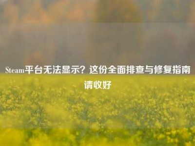 Steam平台无法显示？这份全面排查与修复指南请收好