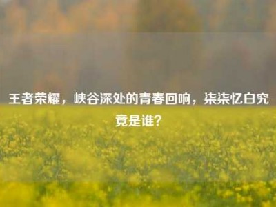 王者荣耀，峡谷深处的青春回响，柒柒忆白究竟是谁？