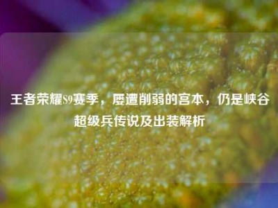 王者荣耀S9赛季，屡遭削弱的宫本，仍是峡谷超级兵传说及出装解析