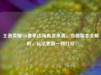王者荣耀S36赛季山海有灵来袭，当前版本全解析，玩法更新一网打尽