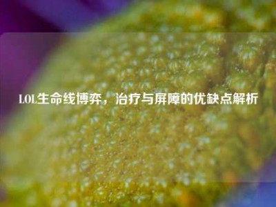 LOL生命线博弈，治疗与屏障的优缺点解析