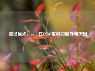 赛场逐光，axile在CSGO世界的坚守与突围