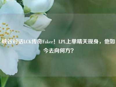 峡谷对话LCK传奇Faker！LPL上单晴天现身，他如今去向何方？