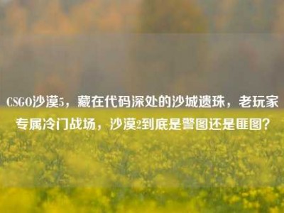 CSGO沙漠5，藏在代码深处的沙城遗珠，老玩家专属冷门战场，沙漠2到底是警图还是匪图？