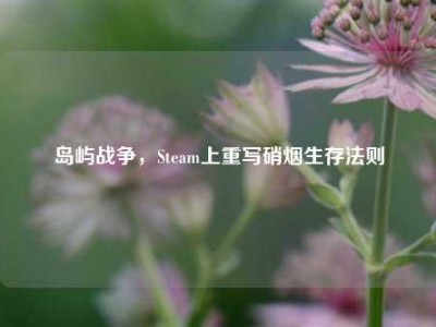 岛屿战争，Steam上重写硝烟生存法则