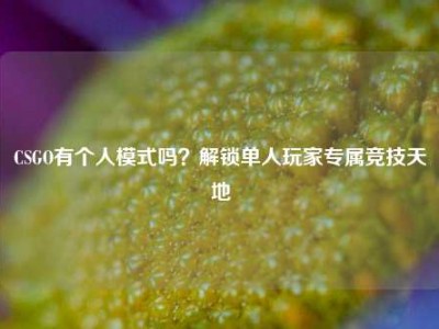 CSGO有个人模式吗？解锁单人玩家专属竞技天地