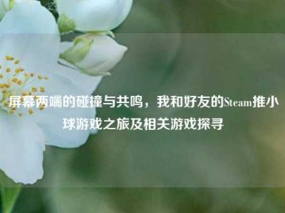 屏幕两端的碰撞与共鸣，我和好友的Steam推小球游戏之旅及相关游戏探寻