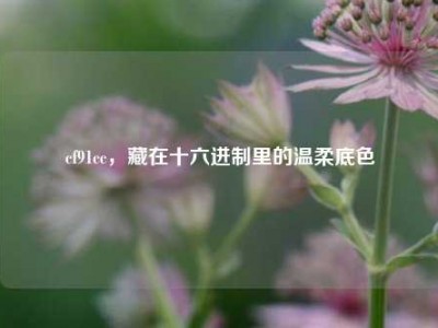 cf91cc，藏在十六进制里的温柔底色